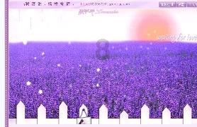 远征军：维京
