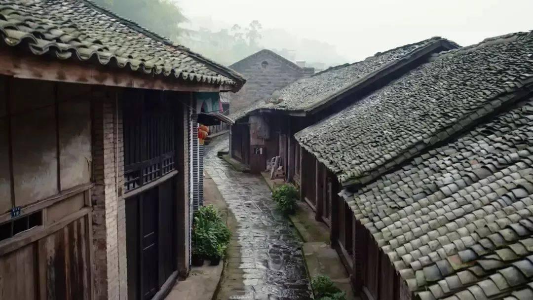 利好不及预期引发比亚迪H股五连跌 机构如何评价?